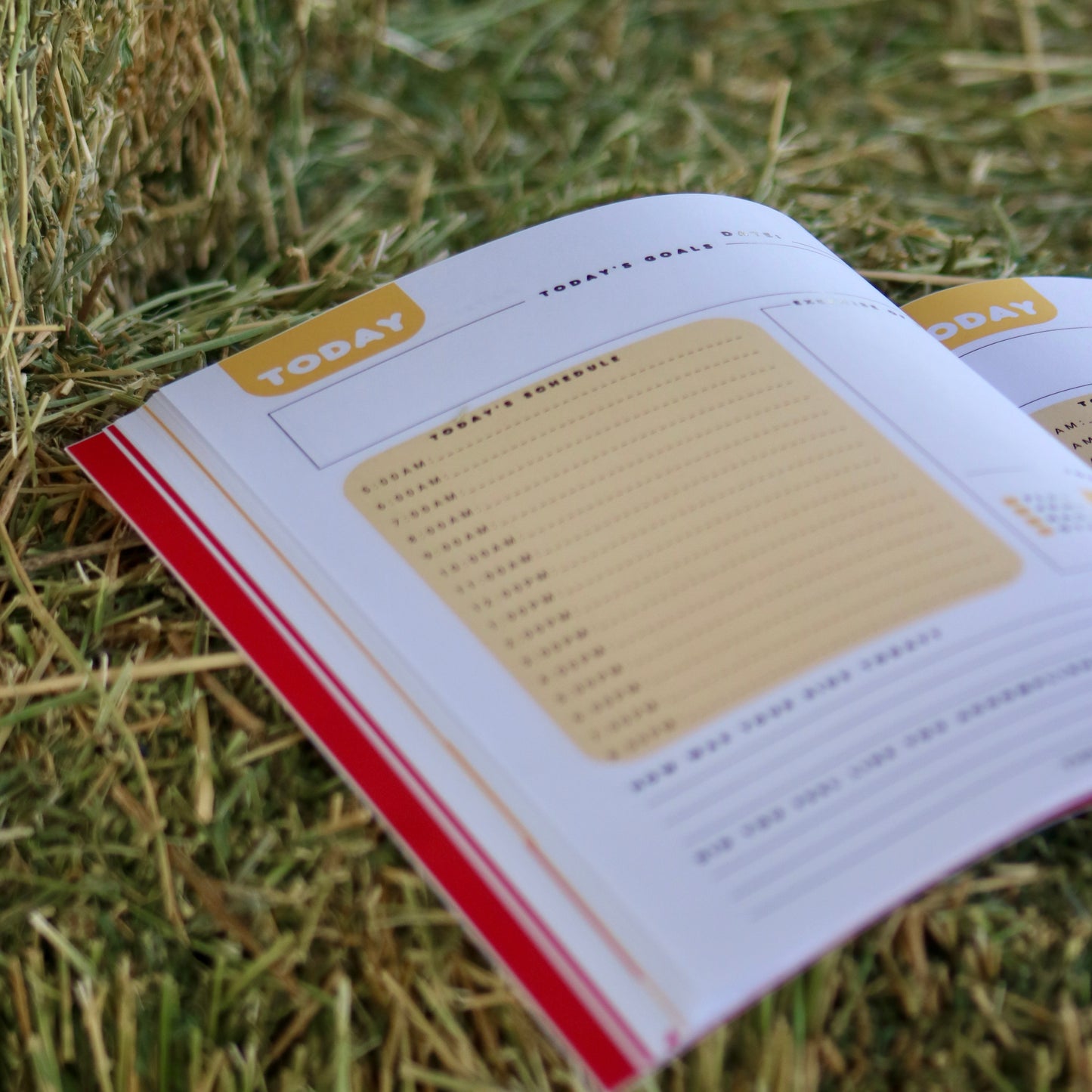 30 Day Equestrian Planner